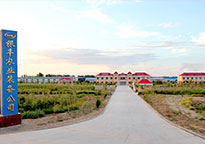 六师共青团现代农机综合服务中心